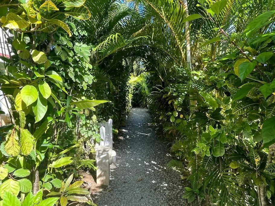 Villa Curuba - Next To The Best Of Playa Ballenas! Las Terrenas